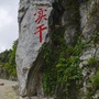 西畴精神现场教学ico