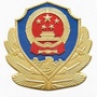 平安黄龙ico