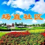 八五四场直社区ico