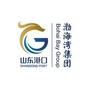 山东港口渤海湾港ico