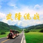 武隆统战ico