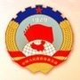 建言颍东政协ico