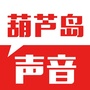 葫芦岛声音ico