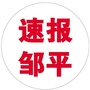 速报邹平ico