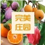 甘宁完美庄园ico