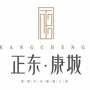 正东康城公众号ico