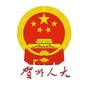 贺州人大ico