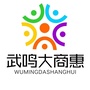 武鸣大商惠ico