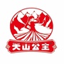 天山公主特产干果ico