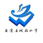 巫溪县城厢小学ico
