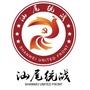 汕尾统战ico