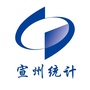 宣州统计ico