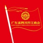 广东省四川开江商会ico