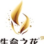 生命之花健康生活ico
