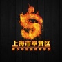 上海市奉贤区青少年业余体育学校ico