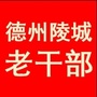 德州陵城老干部ico