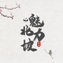 魅力北坡ico