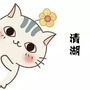 清湖有才子ico
