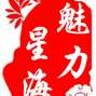魅力星海公众号ico