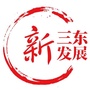 三东村经济联合社ico