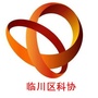 科普临川ico