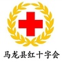 马龙区红十字会ico