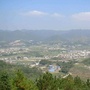 新罗大池ico