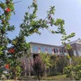 北苑e家ico