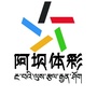 阿坝体彩ico