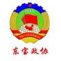 东宝政协ico