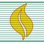 三水金叶ico