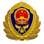 大鹏新区消防在线ico
