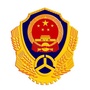 洛龙交通ico