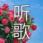 江南情歌ico