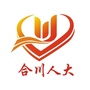 合川人大ico