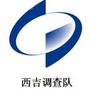 西吉调查队ico