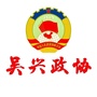 吴兴政协ico