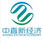 VR天下一中直之家公众号ico