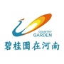 碧桂园在河南公众号ico