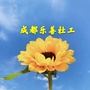 成都乐善社工ico