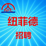 纽菲德招聘公众号ico
