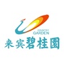 碧桂园在来宾ico