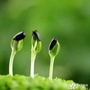 铁岭清河教育ico
