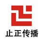 止正传播ico