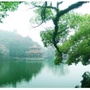 西湖风采ico