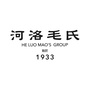河洛毛氏ico