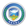 长安江东ico
