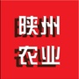 陕州农业ico