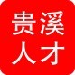贵溪人才ico