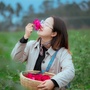 大黄的品味优选ico